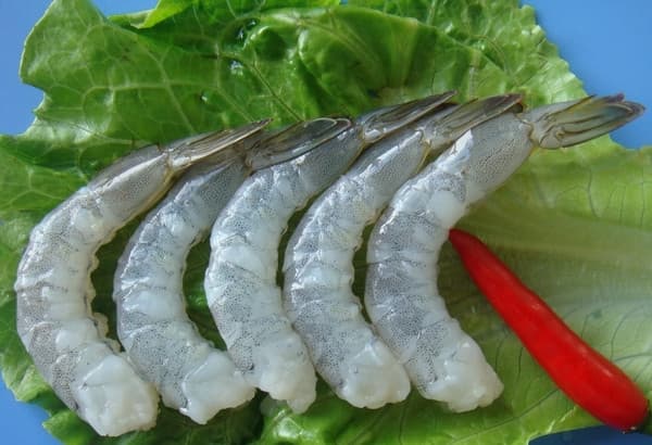 frozen shrimp China_Frozen vananmei shrimp RPDTO